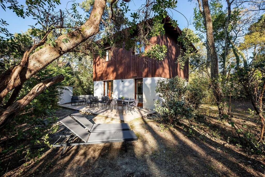 une cabane dans les bois avec un arbre dans l'établissement Villa Fougères à deux pas de la plage PYLA SUR MER, à La Teste-de-Buch