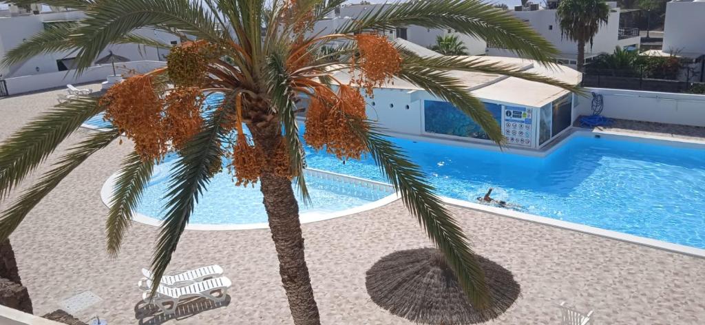 Bazén v ubytování Blue View Hermoso Apartamento Remodelado Ubicación Ideal nebo v jeho okolí