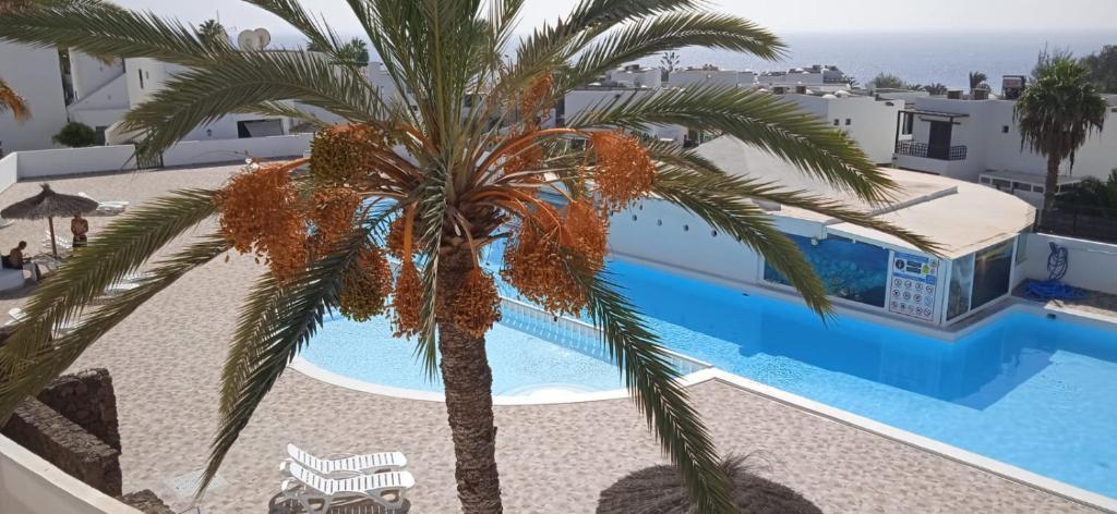 Bazén v ubytování Blue View Hermoso Apartamento Remodelado Ubicación Ideal nebo v jeho okolí