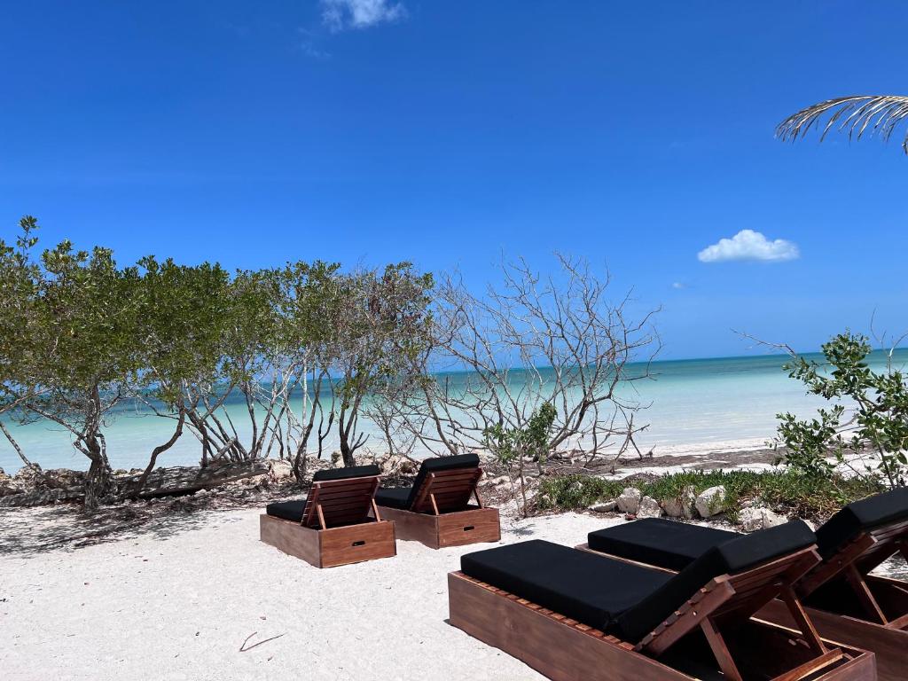 - trois chaises longues sur une plage donnant sur l'océan dans l'établissement Casa Punta Coco & Beach Club, à Holbox