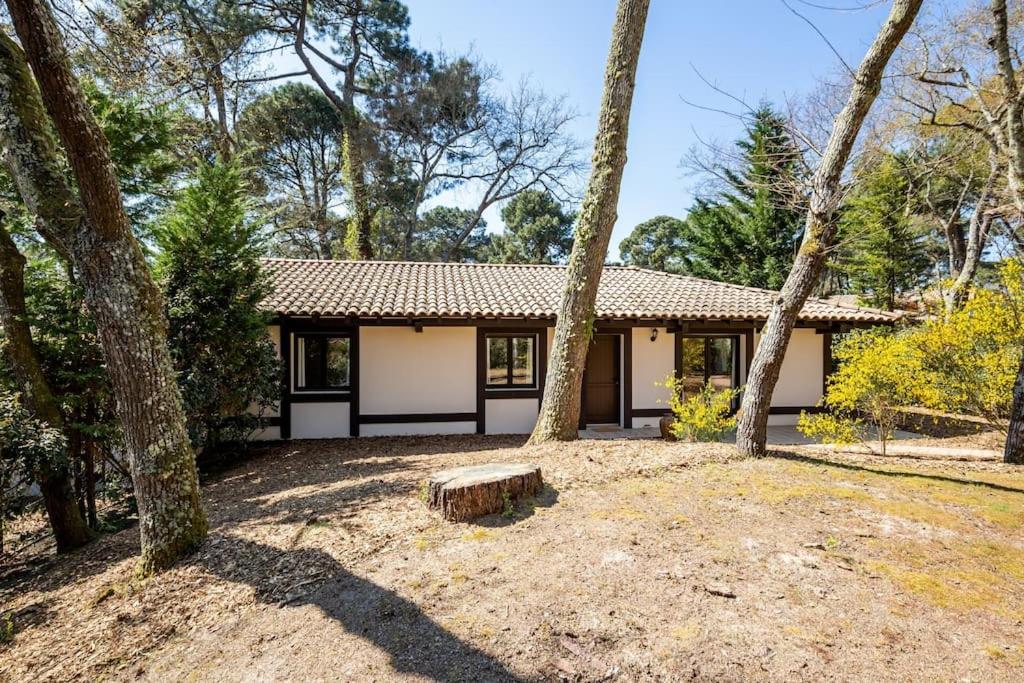 une maison au milieu d'une cour arborée dans l'établissement Villa Bruyère à deux pas de la plage PYLA SUR MER, à La Teste-de-Buch