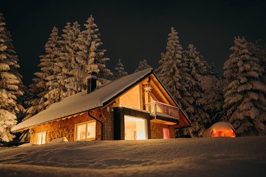 una cabaña de madera en la nieve por la noche en Altenberg - Haus an der Loipe, en Kurort Altenberg