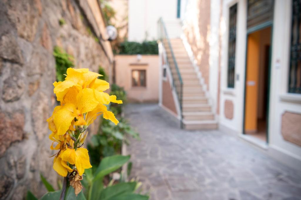 Lux of the Vatican - Resim 41