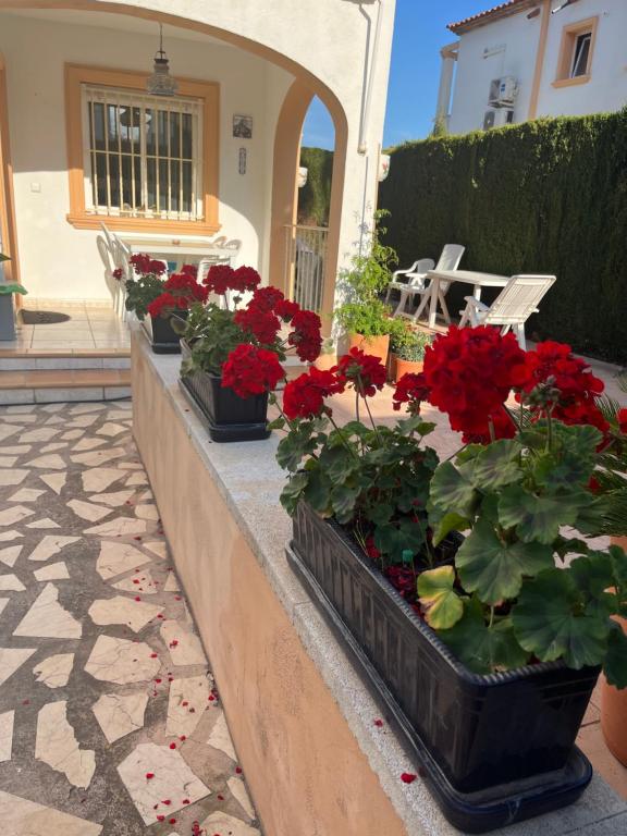 Zahrada ubytování Bougain-casa