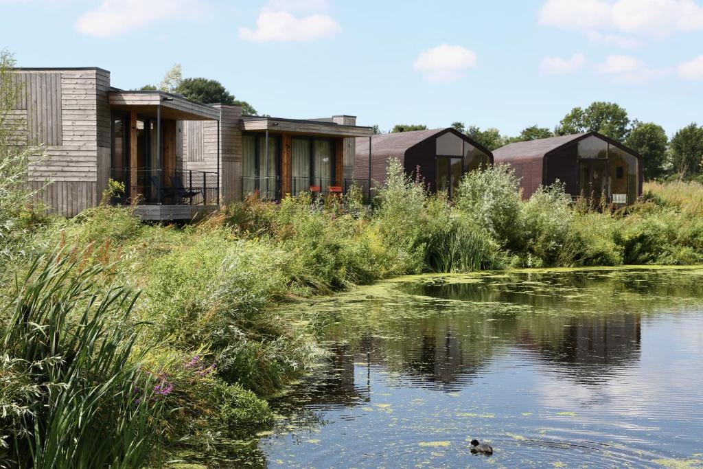 a row of houses next to a pond at Basecamp Amsterdam in Amsterdam