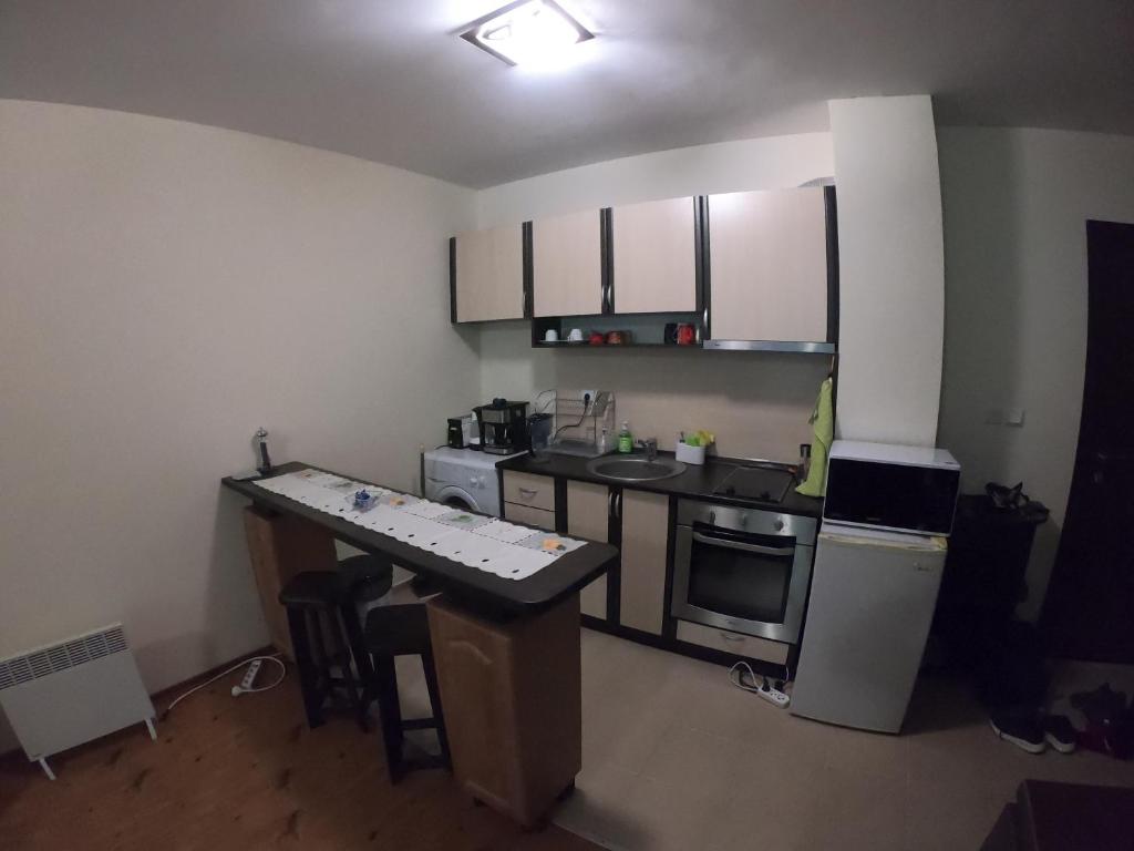 Kuchyň nebo kuchyňský kout v ubytování Apartment Atanasov - Pamporovo