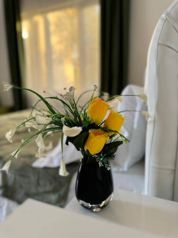 Apartments Villa Stankovic - 11