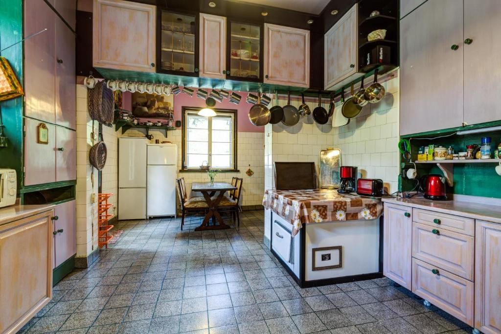 Kuchyň nebo kuchyňský kout v ubytování Villa Kalia