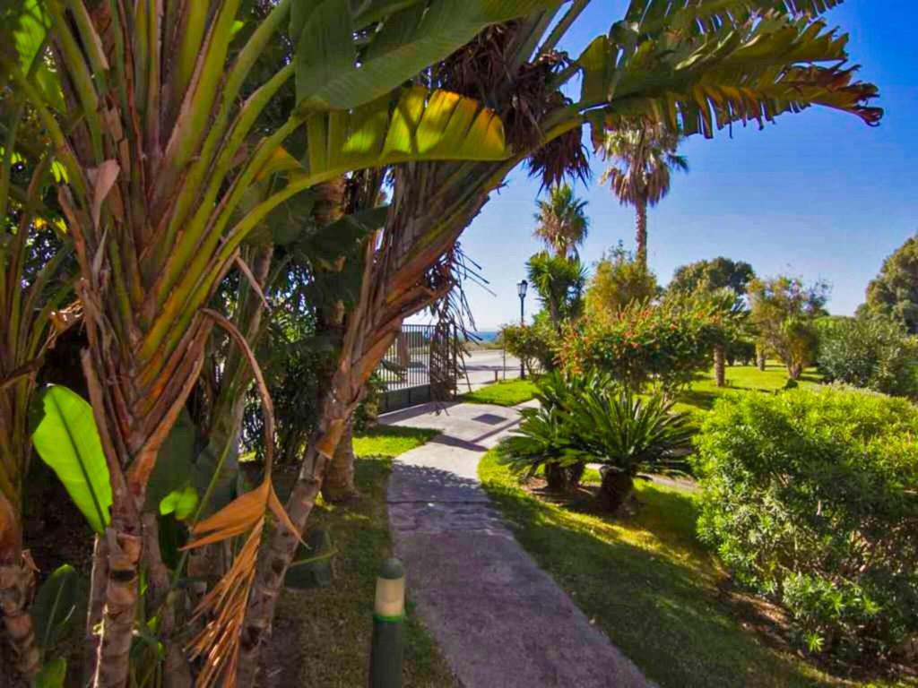 Vonkajšia záhrada v ubytovaní Zahara Paradise - Ole Solutions