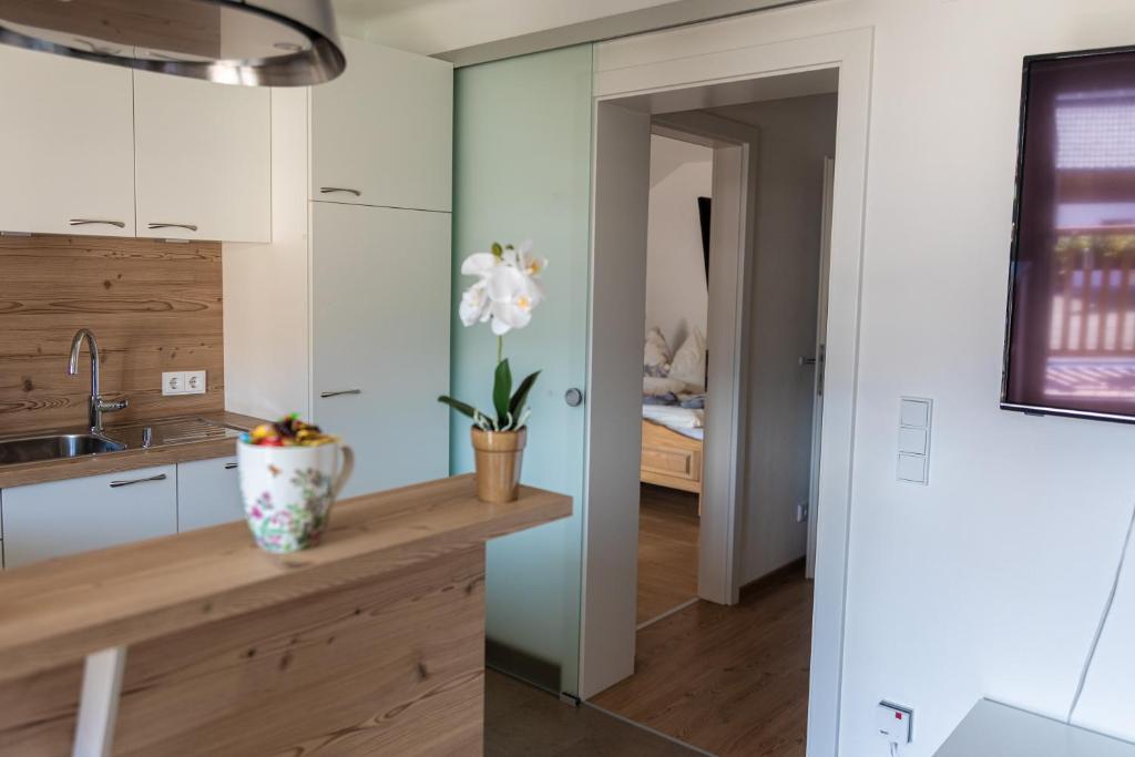 Kuchyň nebo kuchyňský kout v ubytování Ferienwohnung Eisl