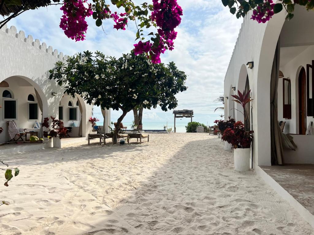 eine Straße mit einem Baum, einigen Gebäuden und Blumen in der Unterkunft Coco Beach Hotel in Jambiani