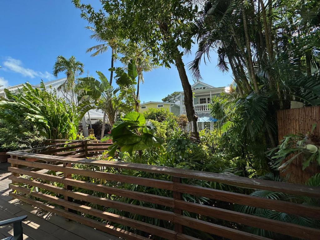 Douglas House Adult Only photo