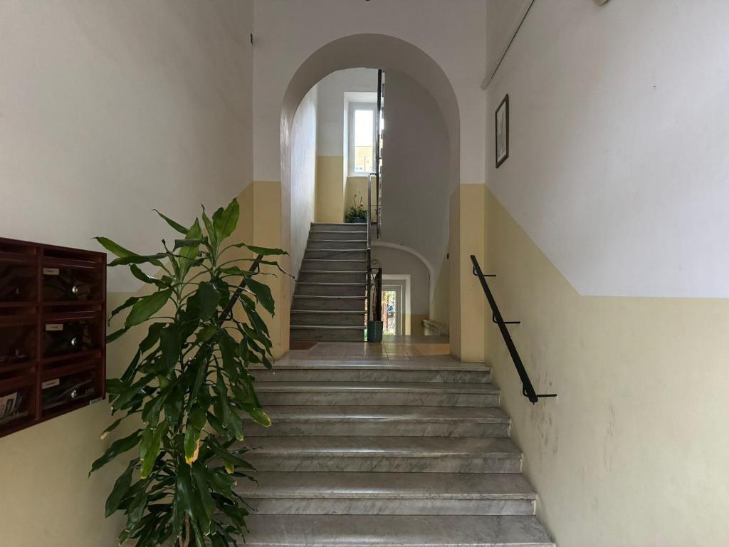 Kép Casa Marin - Metro Malatesta szállásáról Rómában a galériában