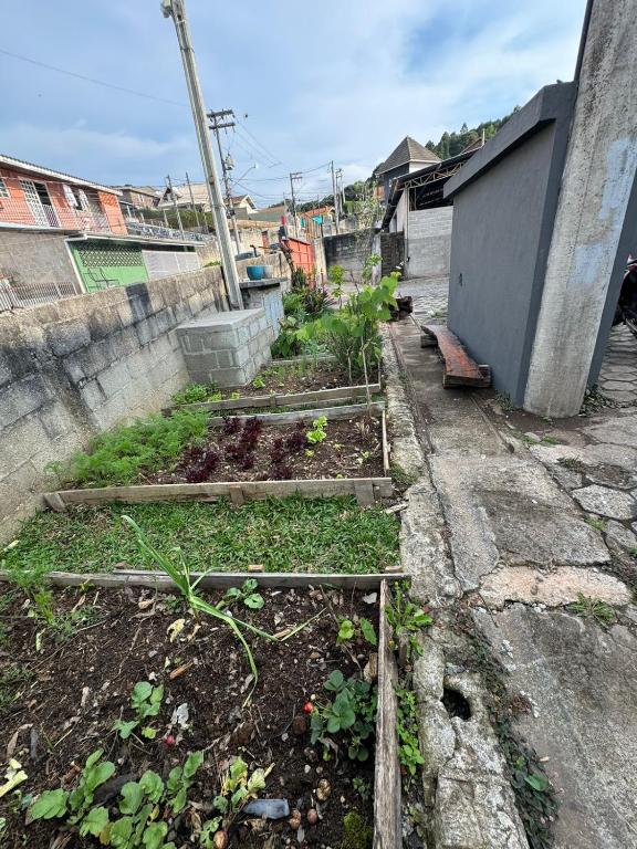a garden with some plants in a yard at Chale Floresta in Campos do Jordão