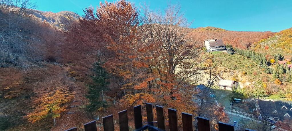 Příroda nedaleko apartmánu