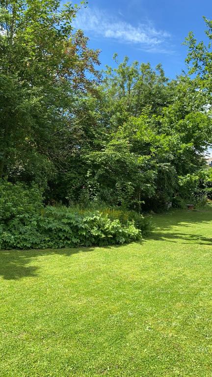 Vonkajšia záhrada v ubytovaní La Villa Barbieux