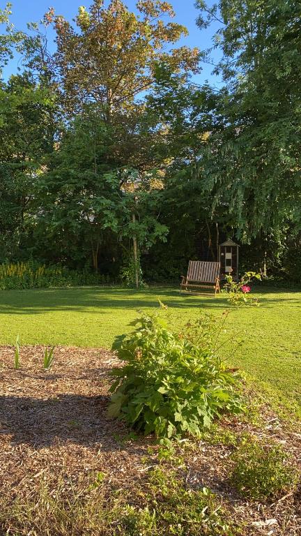 Vonkajšia záhrada v ubytovaní La Villa Barbieux