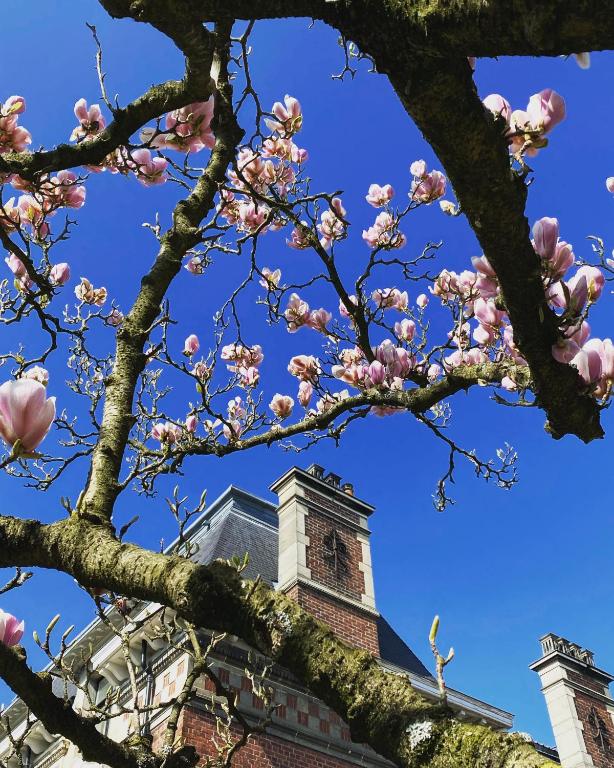 Fotografia z galérie ubytovania La Villa Barbieux v destinácii Roubaix
