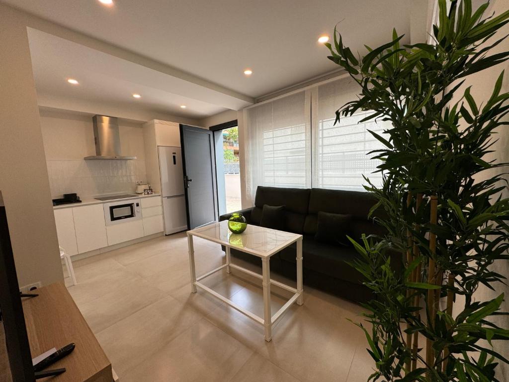 Apartamentos Las Acacias - 2