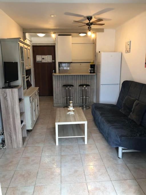 un salon avec un canapé et une table dans l'établissement Appartement T 2 meublé sur canal, à Palavas-les-Flots