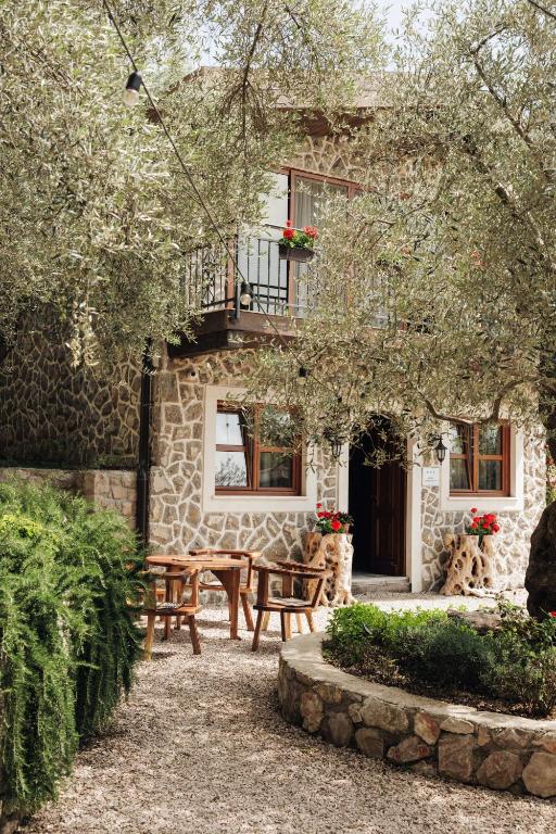 Zahrada ubytování OLIVE QUEEN Rustic Estate