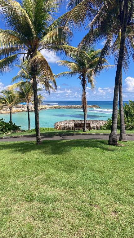 a park with palm trees and a view of the ocean at Le Catelya - Résidence Manganao in Saint-François