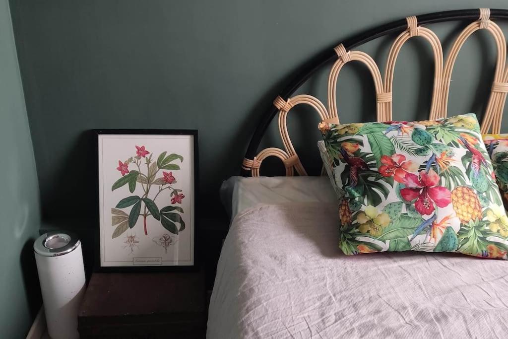 un lit avec un oreiller et une photo à côté dans l'établissement urban jungle - T2 - centre Tourcoing, à Tourcoing