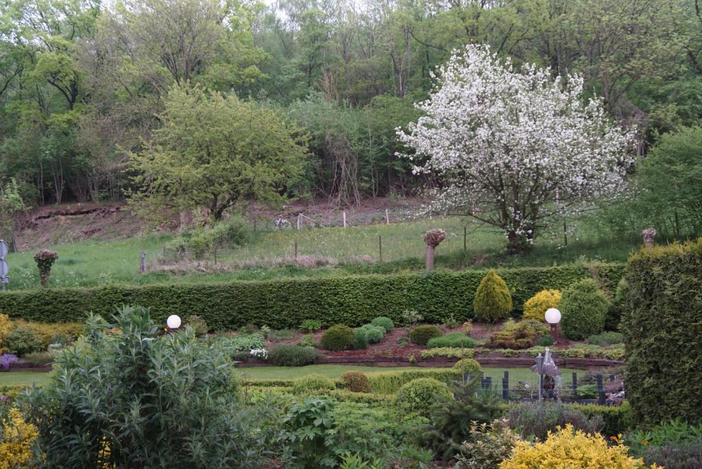 Zahrada ubytování Hotel Bemelmans