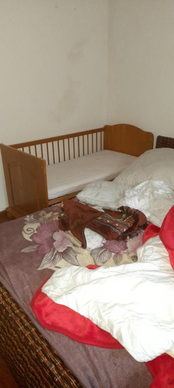 a dog laying on top of a bed at Privat Zimmer in eine whg rue des abeilles in Mulhouse