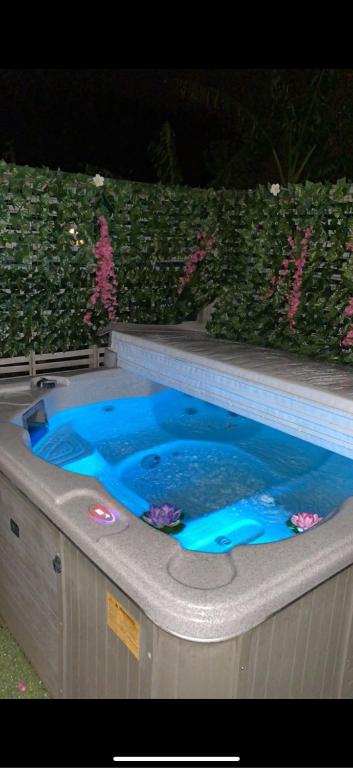 a jacuzziificialificialificialificialificialificialificialificialificialificialificial at Pet friendly house with hot tub in Lower Hutt