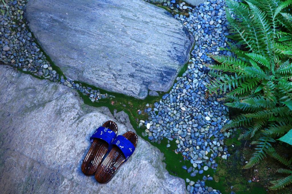 a blue object sitting on a rock next to water at 割烹旅館小川荘 in Ōmiya