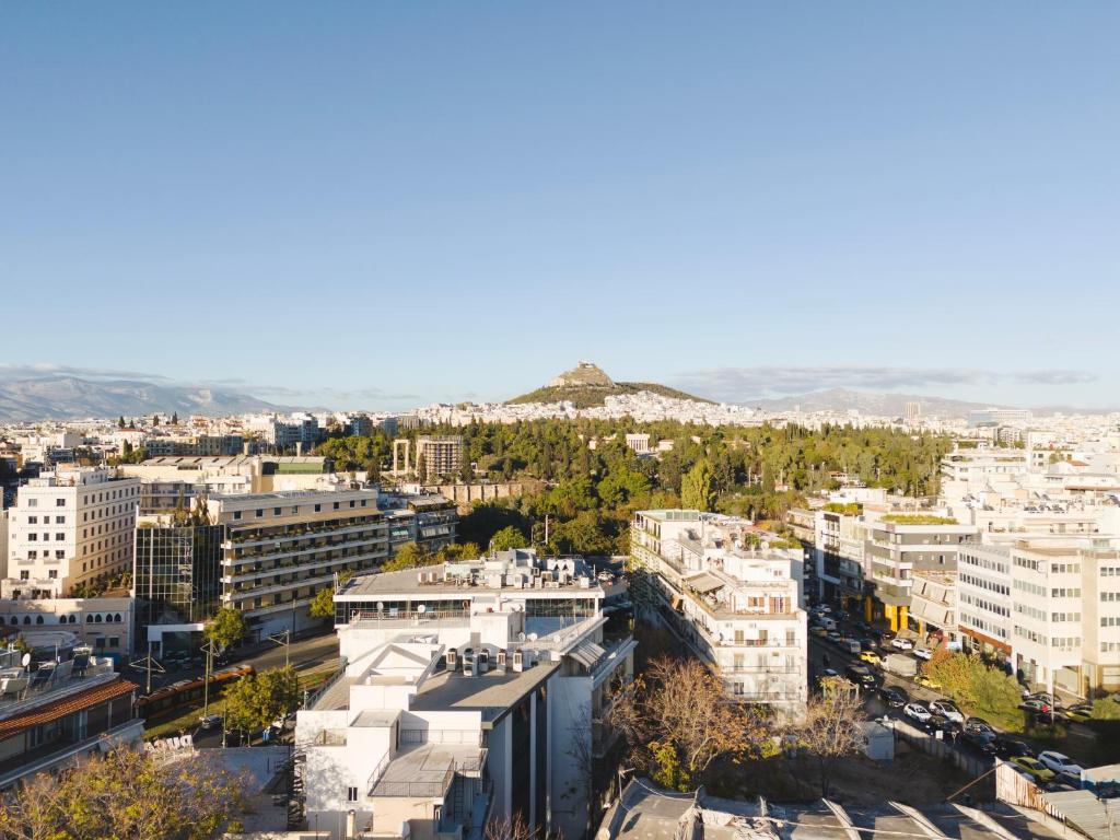 Tyto Alba Habitat - Resim 14