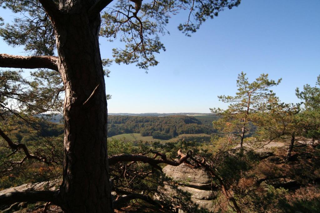 a tree on top of a hill with a view at Hotel Auberge Rustique in Beaufort