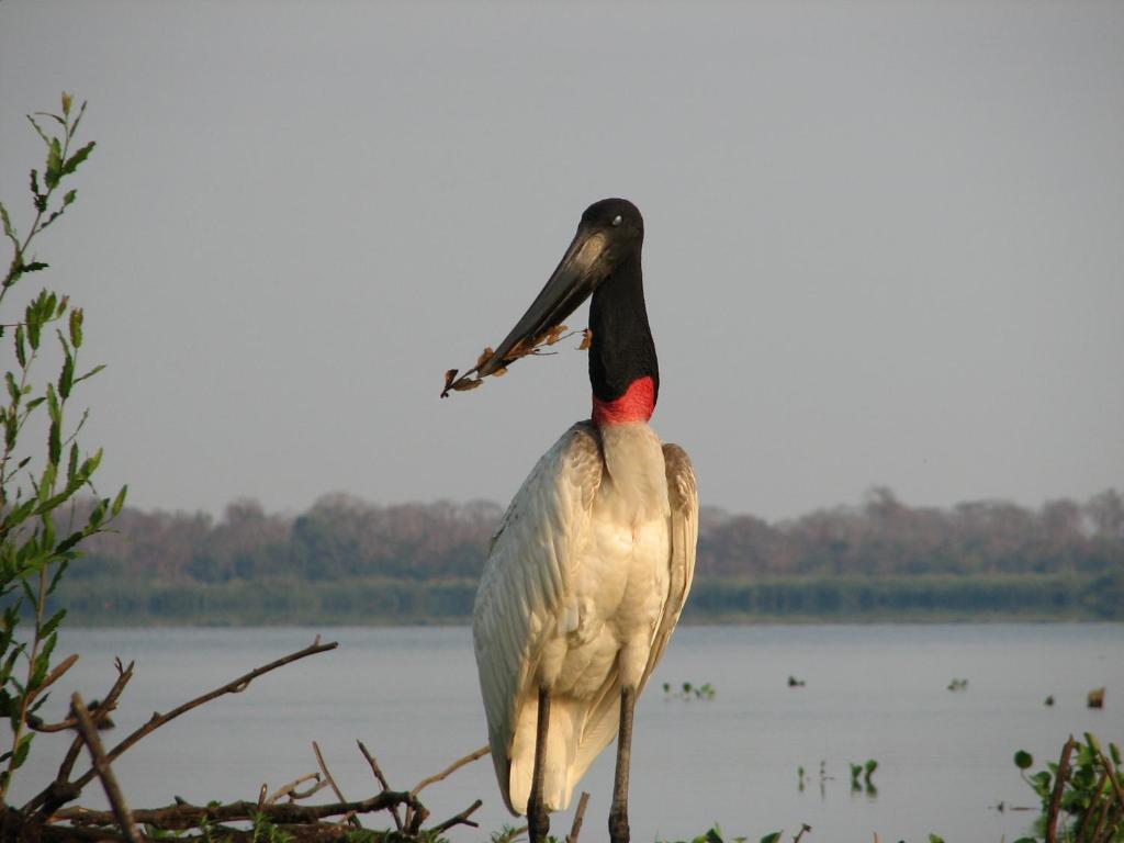  Pousada Do Rio Mutum