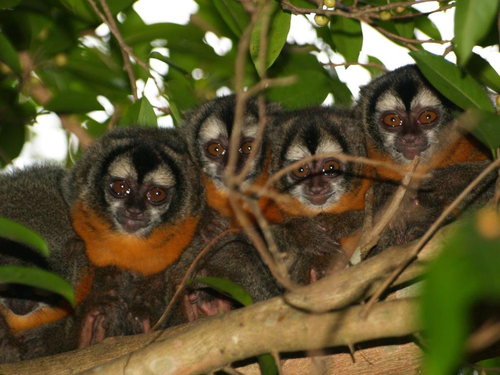  Pousada Do Rio Mutum