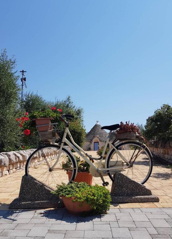 Jazda na bicykli v okolí ubytovania La Rosa dei Trulli B&B