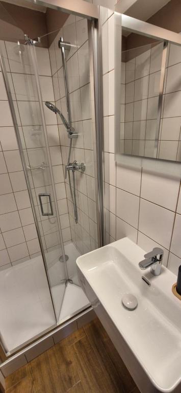 Koupelna v ubytování Tenis Cibulka Suites
