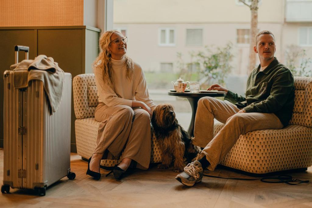 Design Apartments zum Hirschen - Resim 10