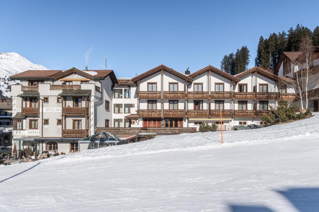 Hotel Spescha v zimě