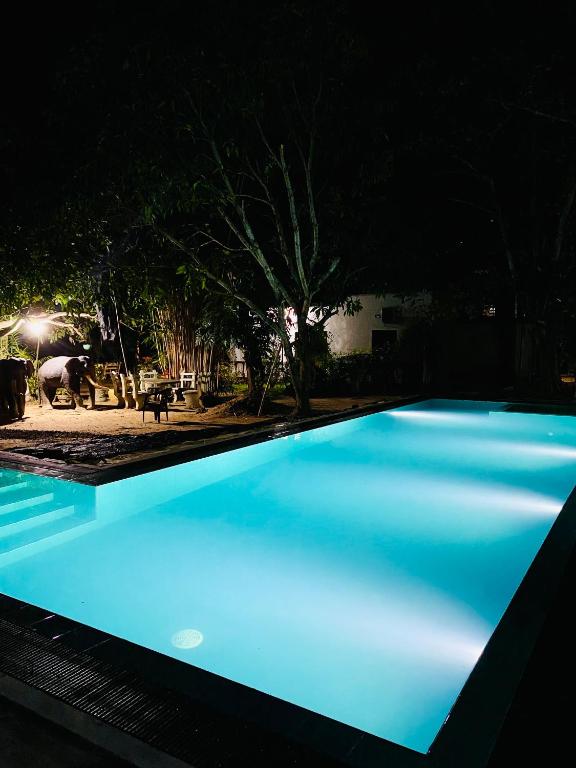 Bazén v ubytování Rathnapriya Oasis nebo v jeho okolí