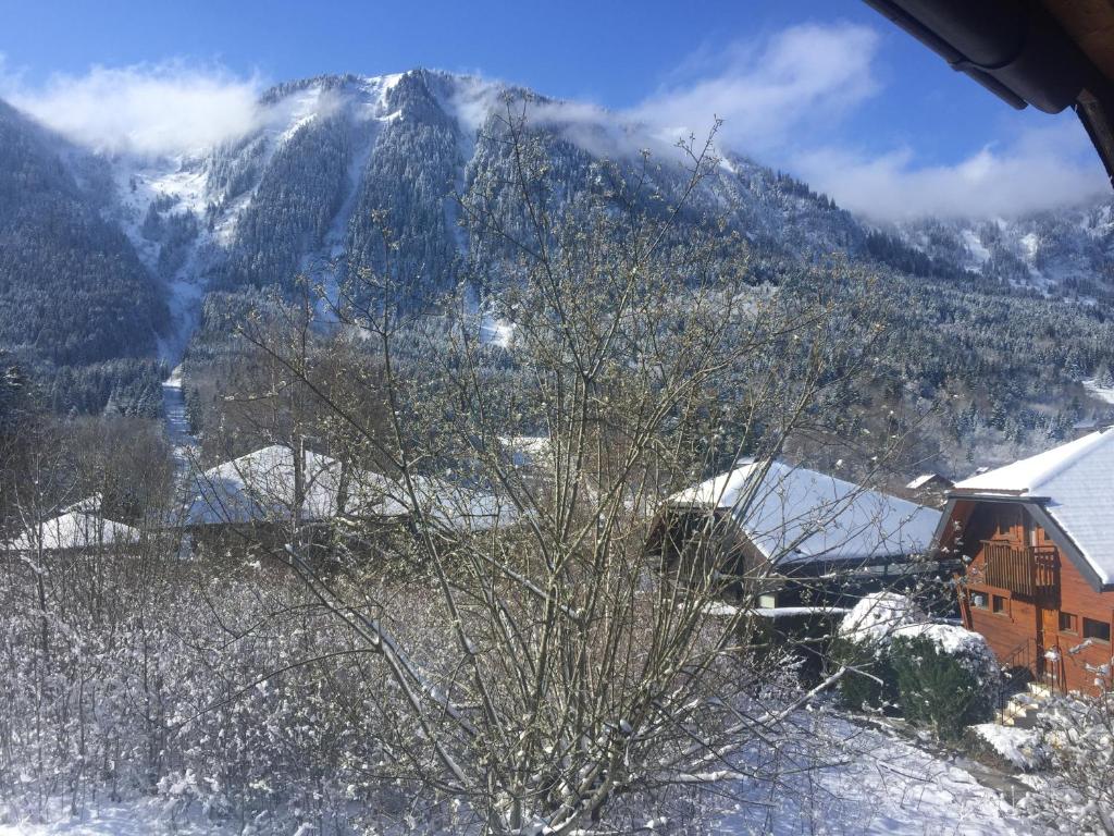 a view of a mountain with snow on it at chalet haute-savoie in Thollon