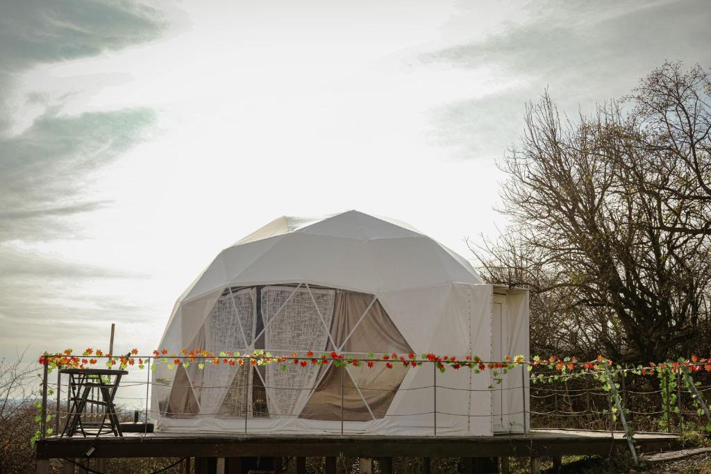 Fotografie z fotogalerie ubytování lakeviewglamp v destinaci Dushetʼi