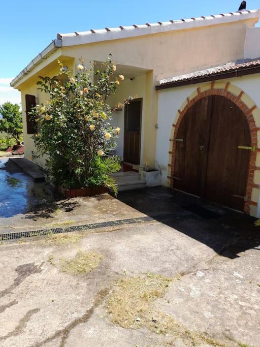 a house with a door and a tree in front of it at Villa S'Oliariu in Martis