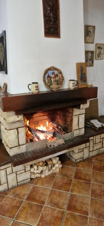Fotografie z fotogalerie ubytování Rare Forest Retreat v destinaci Bran
