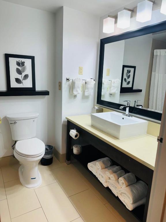 Country Inn & Suites by Radisson, Lawrenceville near Northside Hospital Gwinnett - Queen Suite - Disability Access/Non Smoking
