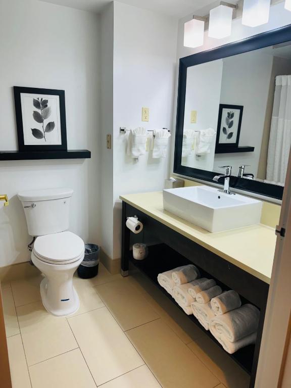 Country Inn & Suites by Radisson, Lawrenceville near Northside Hospital Gwinnett - Habitación Con Cama Extragrande - No Fumadores