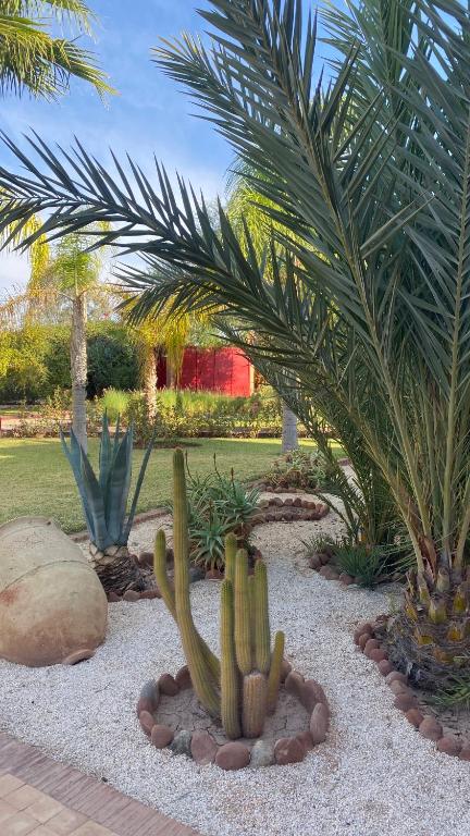 Zahrada ubytování Le Rubis Oriental Marrakech