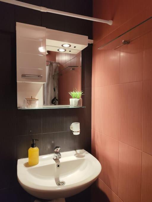 Koupelna v ubytování Cosy Escape in Plovdiv