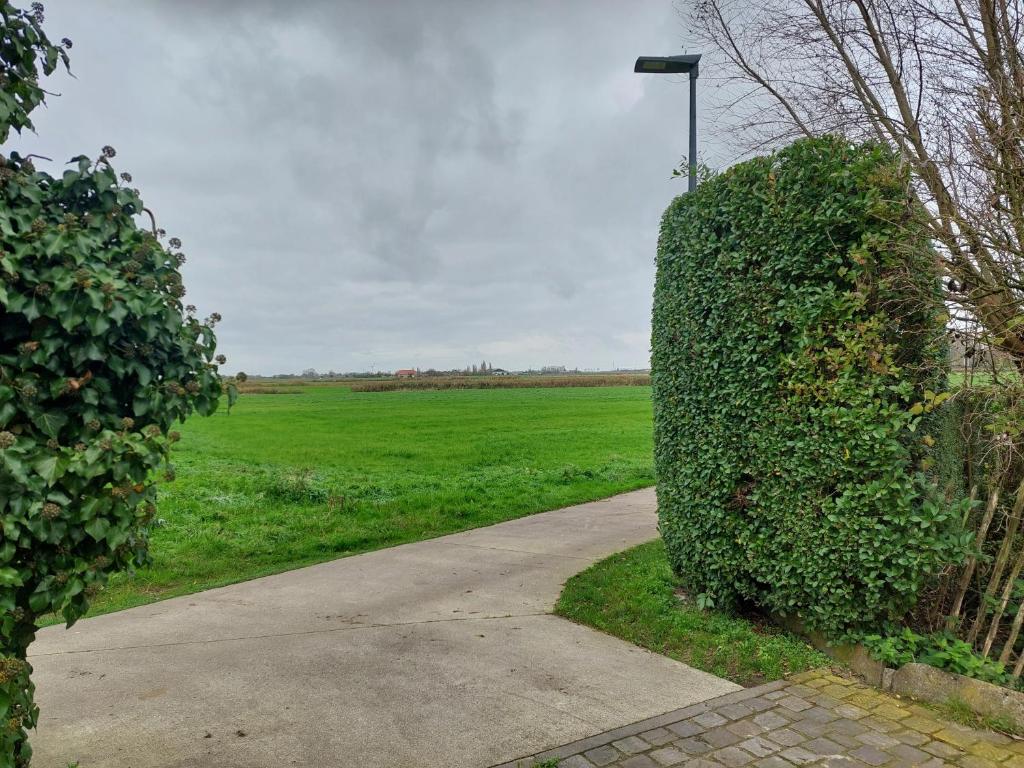 Zahrada ubytování Kleine Dijk