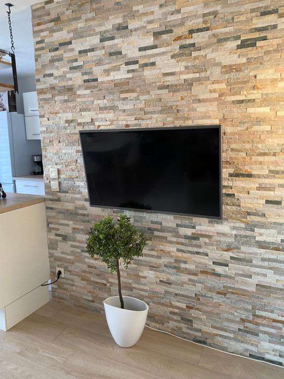 - une télévision sur un mur en briques avec une plante dans l'établissement La Résidence Fleurie, vue sur le Lac Léman, à Thonon-les-Bains